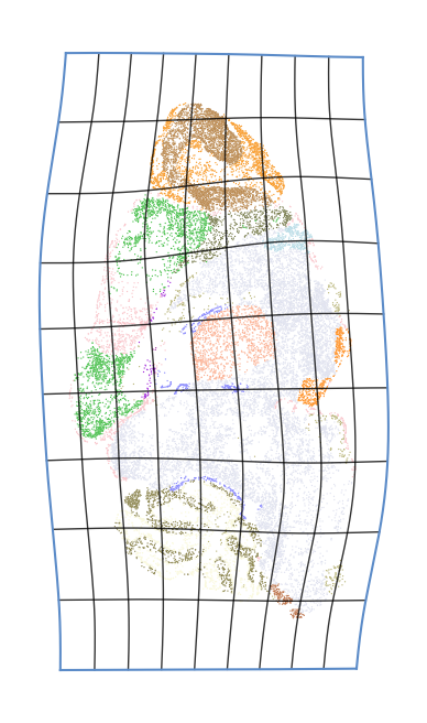 ../../../_images/tutorials_notebooks_3_alignment_Nonrigid_alignment_of_Spateo_for_2D_slices_18_0.png