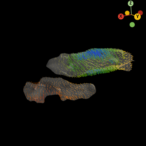 ../../../_images/tutorials_notebooks_7_morphogenesis_2_morphogenesis_18_0.png